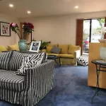 Riviera In Christchurch